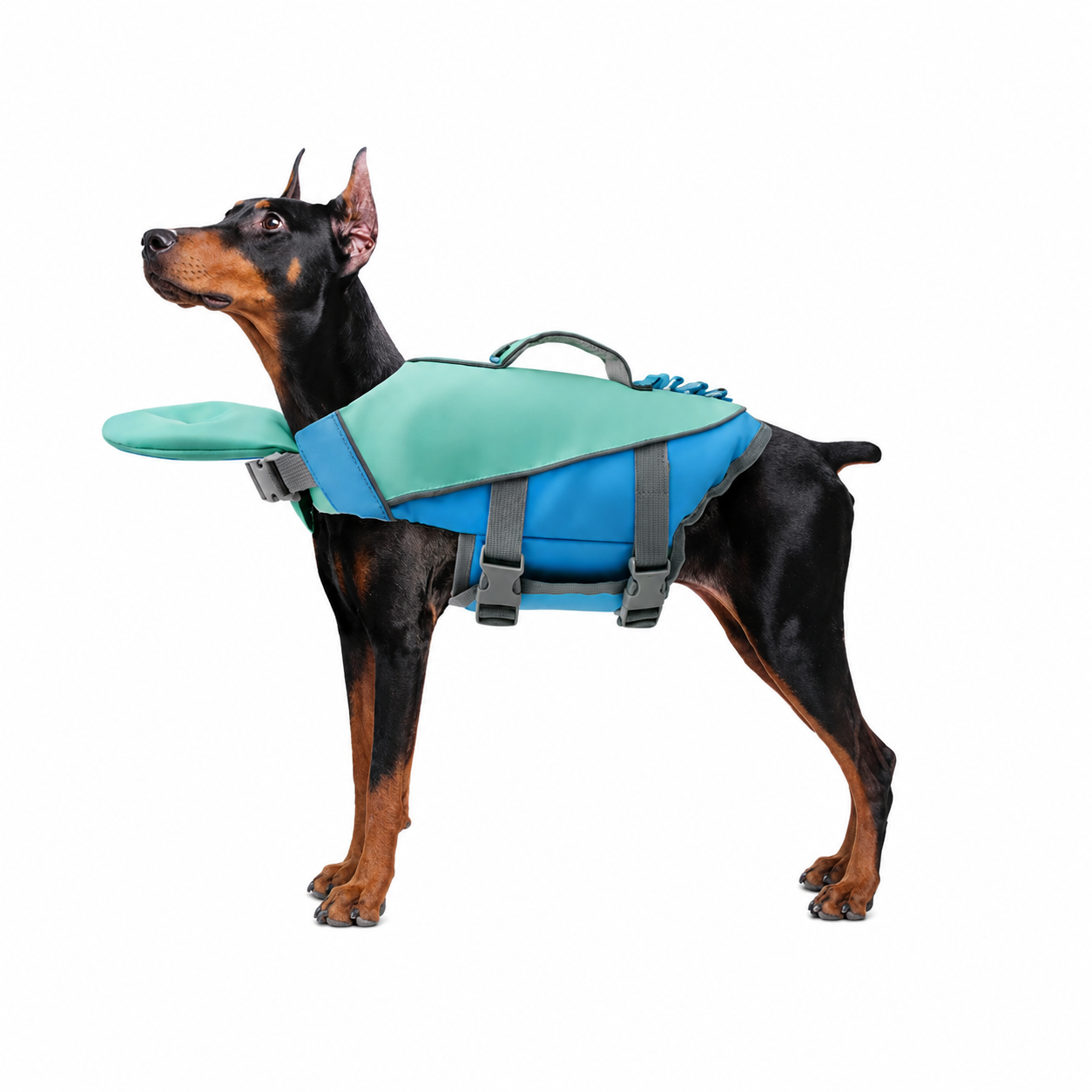 HydroPaw Life Jacket